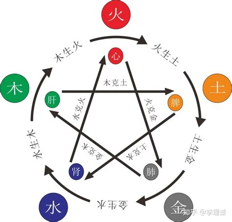 五行木太多|李理谦：八字命理之五行木过旺会有什么影响？木过多如何化。